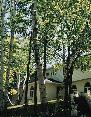 White Birch Inn Sturgeon Bay Exterior foto